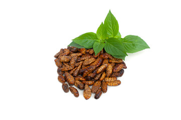 Fried chrysalis worms isolated white background.The cocoons of the pupa can be woven into silk shirts.
