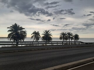 Palm trees on the road with the sea in the background