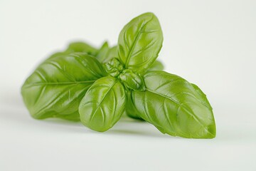 Fototapeta premium A pair of fresh green leaves sit atop a clean white surface