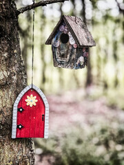 Fairy Doors In Woods In Oxfordshire