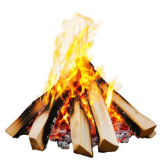 Blazing campfire with wood