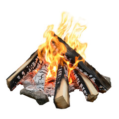 Campfire burning bright
