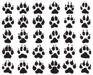 Fototapeta premium Black print of paw of dogs on a white background
