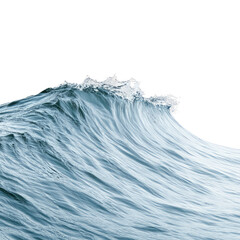 A large wave crests in the ocean.