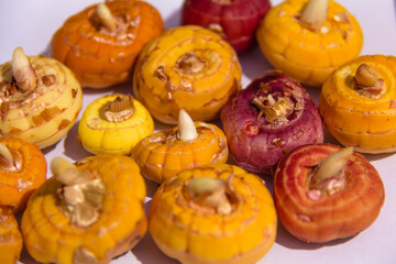 Sprouting bulbs gladiolus ready for planting full frame