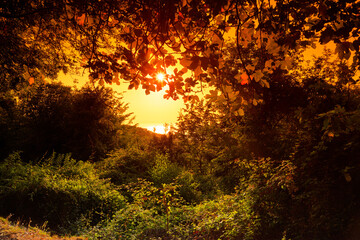 Fototapety na wymiar - Fototapeta24.pl