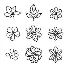 Obraz premium Doodle flowers. Simple floral botanical collection leaves flowers branches modern organic nature symbols for wedding cards. Illustration floral linear drawing, blossom spring plant.