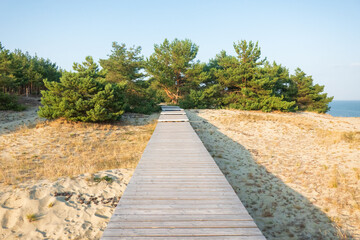 Wooden footpath on a sand dune. In the distance a pine forest and a fragment of the water surface are visible. Background. Landscape.