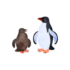 Obraz premium アデリーペンギンの雛と成鳥。水彩風イラスト。 Adelie penguin chick and adult. Watercolor style illustration.