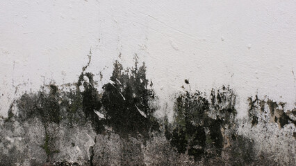 Background And Painted Lines And Draw.Abstract Grunge Modern Graffiti Wallpaper.