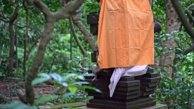 A man is sitting on a stack of blocks in a forest. He is wearing an orange robe