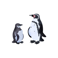 フンボルトペンギンの雛と成鳥。水彩風イラスト。 Humboldt penguin (Peruvian penguin) chick and adult. Watercolor style illustration.