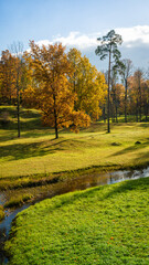 Beautiful sunny forest autumn landscape. Amazing park with lake