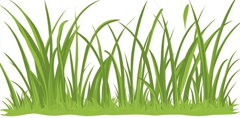Fototapeta premium Natural, organic, bio, eco labels and shapes on white background of modern green grass