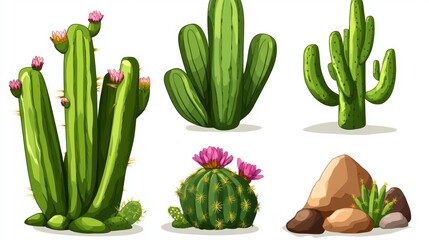 Featuring stetsonia, carnegia, selenicereus, and rhipsalidopsis with a saguaro or opuntia in the center.