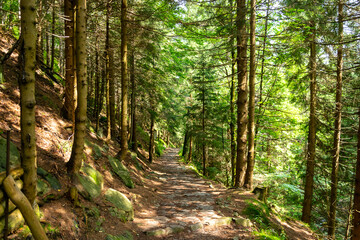 the main Sudetes trail leading to Sniezka
