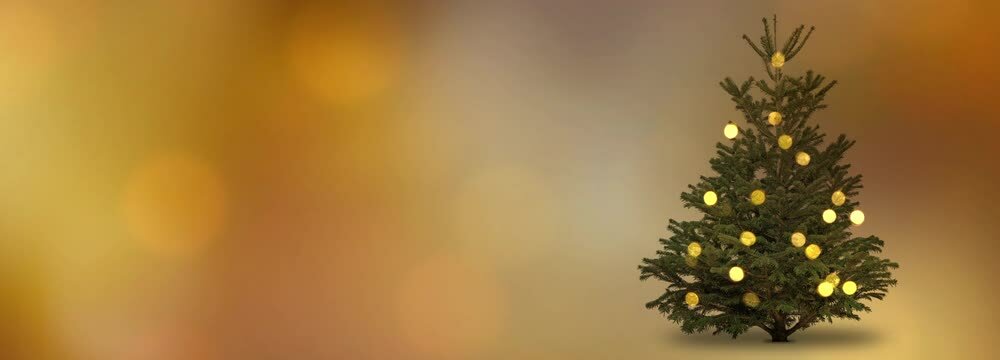 christmas tree with defocused lights isolated on blurred golden bokeh light animation background banner, abstract festive christmas backdrop with space fort ext or product presentation