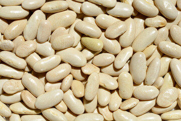 Detail of a surface covered with dry uncooked white beans