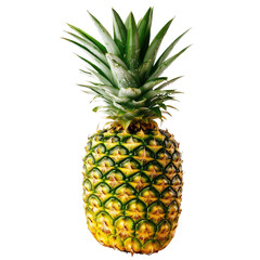 Fototapeta premium A ripe pineapple on black background