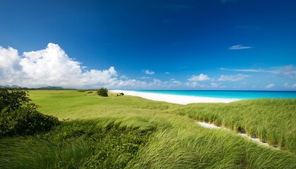 Obraz premium Tranquil Beach Scene with Blue Sky and Green Grass