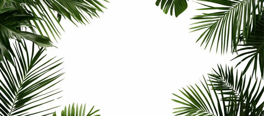 Fototapeta premium Isolated palm leaves on a white background, with a green tropical leaf border frame and copy space for text and design.