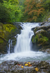 Obraz premium Autumn in the Ixkier waterfall. Autumn colors in the Aralar mountain range, Navarra.