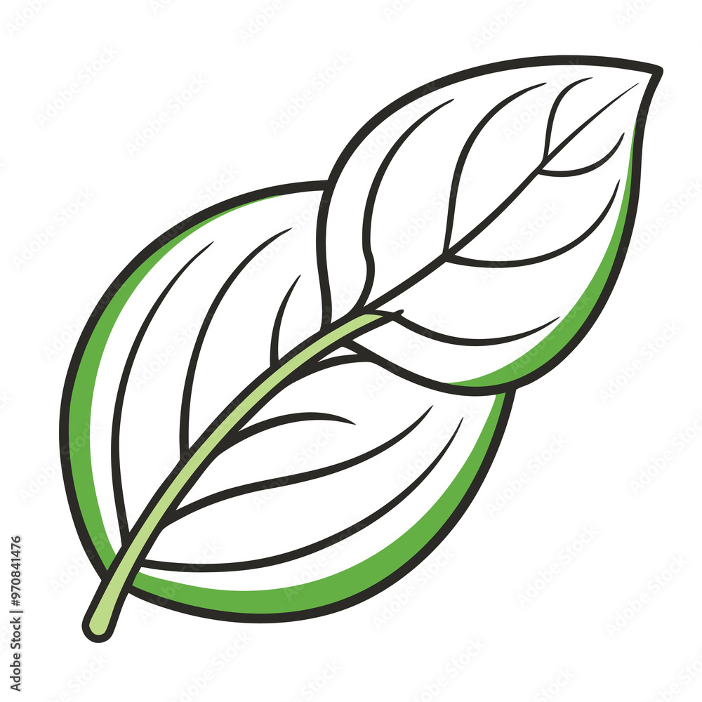 Wall mural Basil leaf clip art, vector illustration on white background.