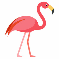 pink flamingo isolated on white