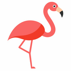 pink flamingo