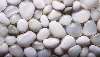 Wet white pebbles, forming seamless glossy surface. Top view.