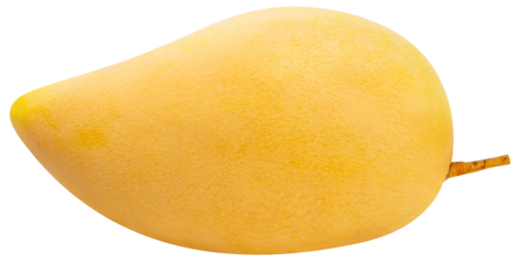 Yellow Mango with leaf on white background, Sweet Yellow Mango tropical fruit isolate on white PNG File.