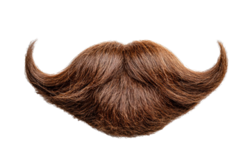 Fake curly brown handlebar mustache and beard isolated on white background