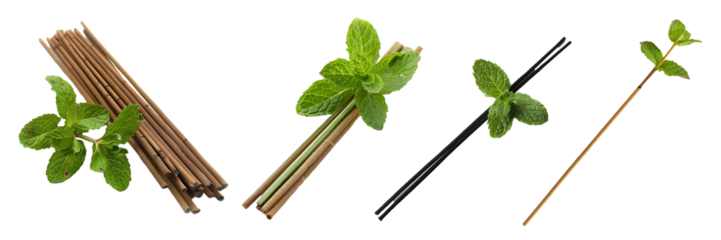 Fresh mint leaves placed beside a selection of bundled incense sticks for aromatherapy isolated on a white background