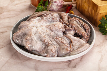 Raw cold octopus for cooking