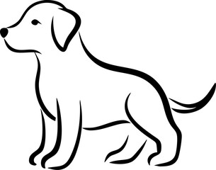 A dog is standing in front of a white background