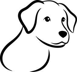 A dog with a black nose and black eyes