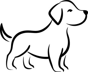 A dog is standing in front of a white background