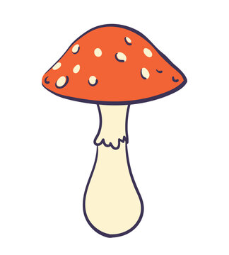 recommend clip art: Vector hand drawn cartoon fly agaric mushroom. Poisonous red mushroom amanita. Vector illustration on white background.