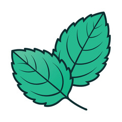 Mint leaf clip art, vector illustration on white background.