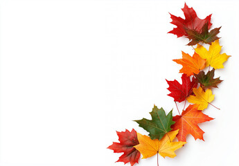 Colorful autumn leaves forming a only side area display a white background, including vibrant orange, red, and yellow maple leaves
