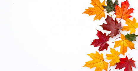 Fototapeta premium Colorful autumn leaves forming a only side area display a white background, including vibrant orange, red, and yellow maple leaves