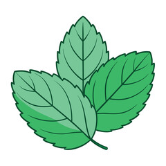 Mint leaf clip art, vector illustration on white background.