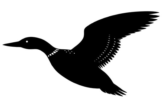 recommend clip art:  Flying Loon black silhouette vector art illustration