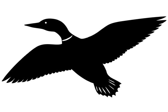 recommend clip art:  Flying Loon black silhouette vector art illustration