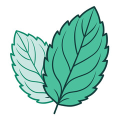 Mint leaf clip art, vector illustration on white background.