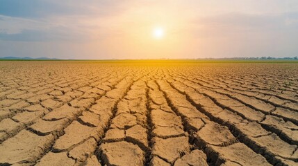 Fototapeta premium Heatwave Scorches Drought Stricken Field with Cracked Parched Dry Earth Texture Climate Crisis and Environmental Disaster Concept