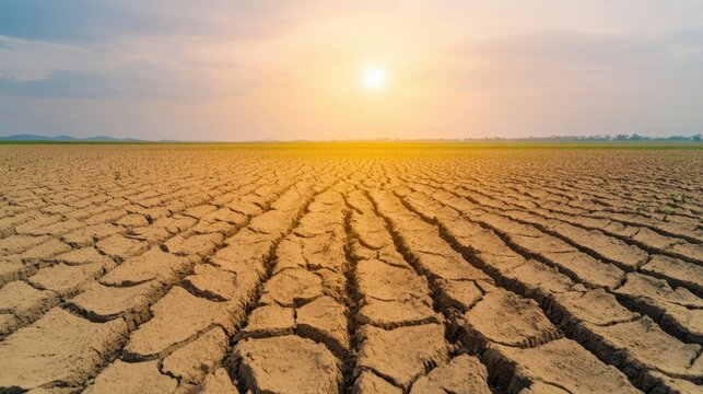 Heatwave Scorches Drought Stricken Field with Cracked Parched Dry Earth Texture  Climate Crisis and Environmental Disaster Concept