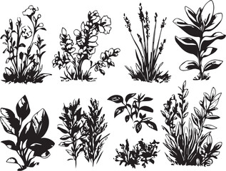 Set plants. Hand drawn vector illustration