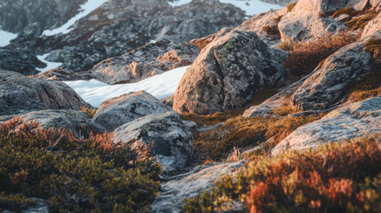 A close-up of rugged mountain rocks, with small patches of snow and hardy vegetation clinging to the surface.