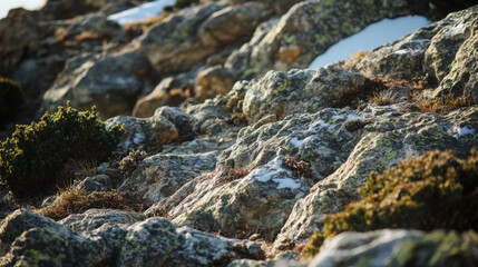 Fototapeta premium A close-up of rugged mountain rocks, with small patches of snow and hardy vegetation clinging to the surface.